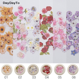 Daydayto ดอกไม้แห้งธรรมชาติ หลากสี สําหรับตกแต่งเล็บ 1 กล่อง