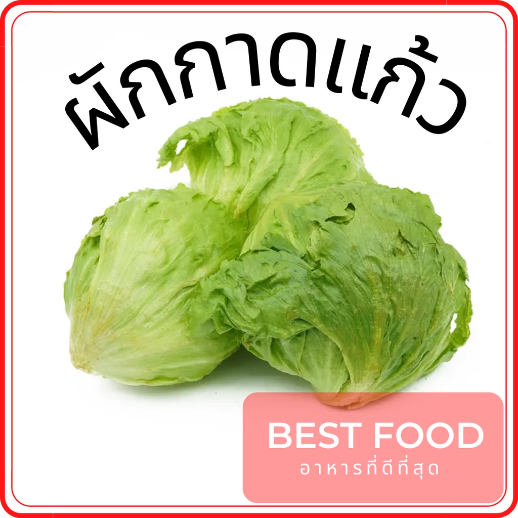 ผักกาดแก้ว-ผักสด-ราคาถูก-lettuce