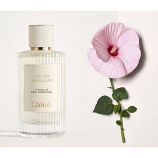 แบ่งขาย Chloe - Hibiscus Abelmoschus (decant)