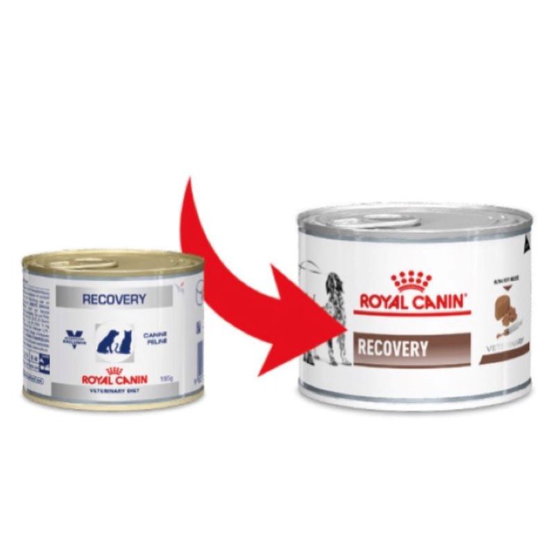 Royal canin recovery clearance pantip