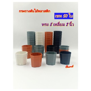 สินค้า กระถางต้นไม้ 2 นิ้ว เซท 50 ใบ (8 เหลี่ยม) กระถางต้นไม้พลาสติก กระถางแคนตัส กระถางกระบองเพชร สีดำ สีขาว สีส้มอิฐ สีเทา