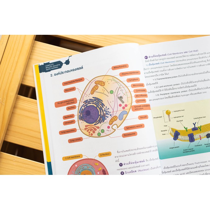 complete-biology-มัธยมปลาย-สรุปเข้ม-เน้นข้อสอบ