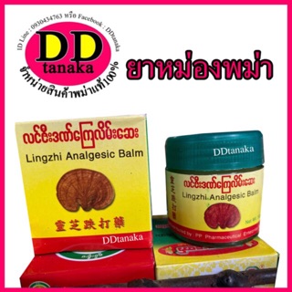 สินค้า (มีโค้ดลด)ยาหม่องพม่า ยาหม่องเห็ดหลินจือ Lingzhi Analgesic Balm ล้อตใหม่ล่าสุด