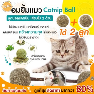 DOODEE🐱 แคทนิปแมว Catnip Ball ลูกบอลแคทนิป แคทนิปสมุนไพร แมวเลีย อมยิ้ม ขนมแมว อาหารแมว สัตว์เลี้ยง แมว 🐱 พร้อมส่ง