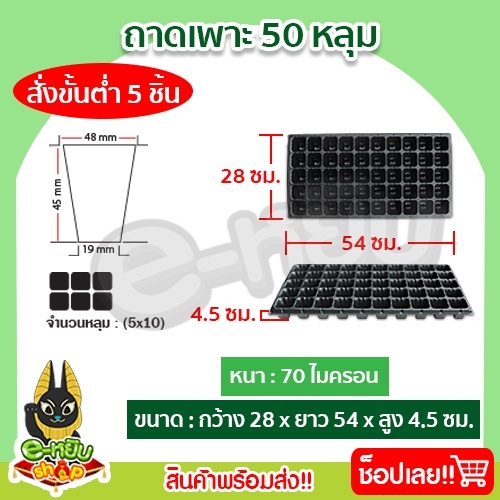 ถาดเพาะกล้า-ถาดเพาะชำ-ถาดเพาะเมล็ด-ถาดเพาะต้นอ่อน