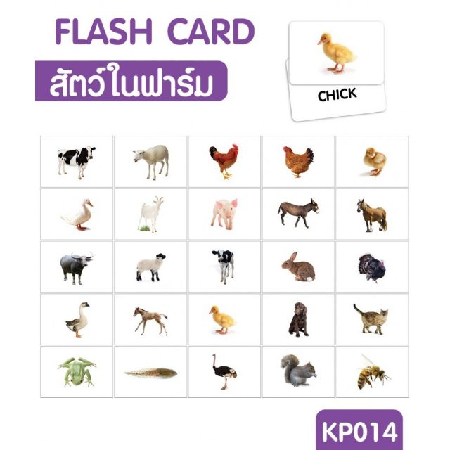 แฟลชการ์ดสัตว์ในฟาร์ม-แผ่นใหญ่-flash-card-farm-animals-kp014-vanda-learning