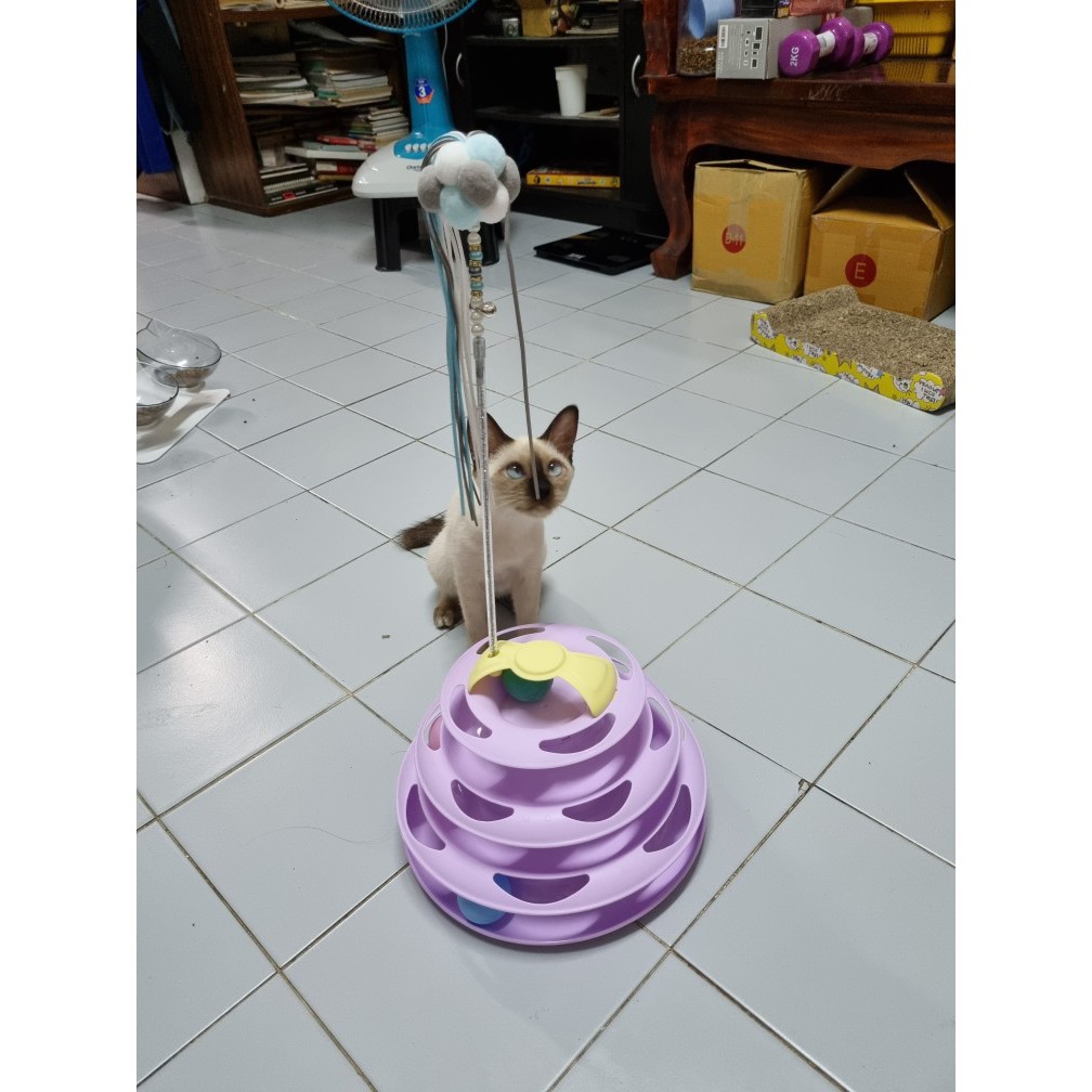 ภาพสินค้า️รางบอลแมว4ชั้น ของเล่นแมว รางบอลแมว รางบอล4ชั้น ️ จากร้าน ratimapeem บน Shopee ภาพที่ 7