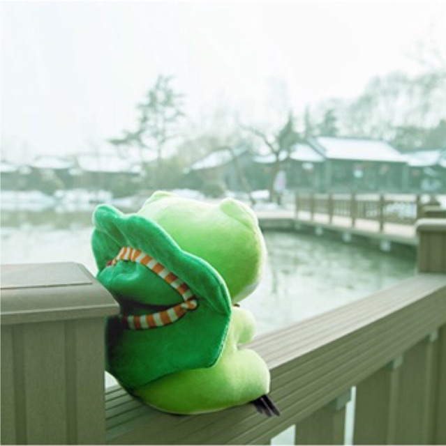 ตุ๊กตากบอินดี้-travel-frog-ขนาด-20-cm