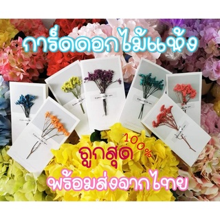 ภาพหน้าปกสินค้าการ์ดดอกไม้แห้ง Flower Card การ์ดอวยพรดอกไม้แห้ง (สินค้าพร้อมส่ง) การ์ดอวยพร Handmade การ์ดปัจฉิม การ์ดวันจบ ที่เกี่ยวข้อง