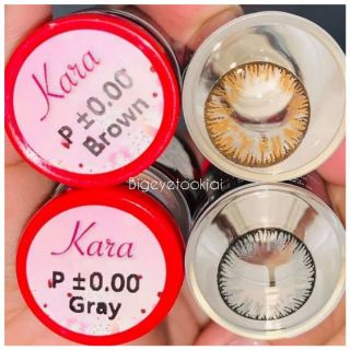 💟 Pitchylens ๑ Kara สายตา -00 ถึง -1000 brown gray Contactlens บิ๊กอาย คอนแทคเลนส์ ราคาถูก แถมตลับฟรี