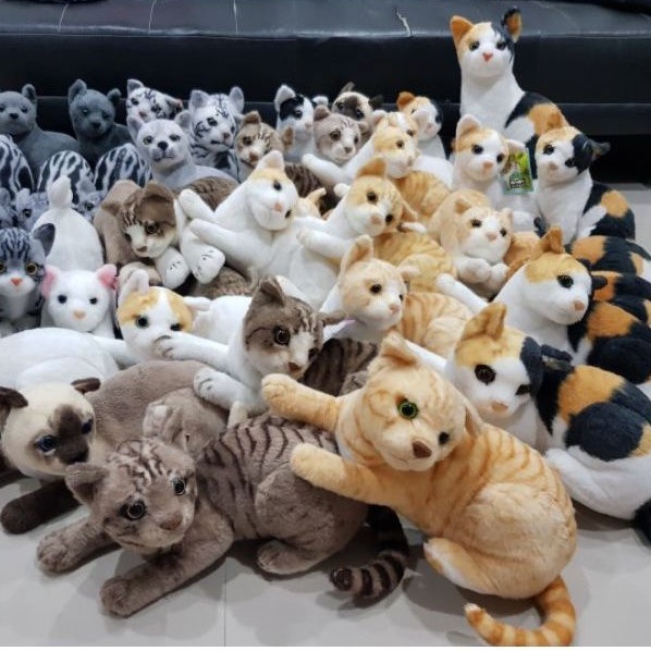 ภาพหน้าปกสินค้าตุ๊กตาแมวเหมือนจริง ยี่ห้อ Real Cat มีหลากลายแบบ จากร้าน shop_19.09 บน Shopee