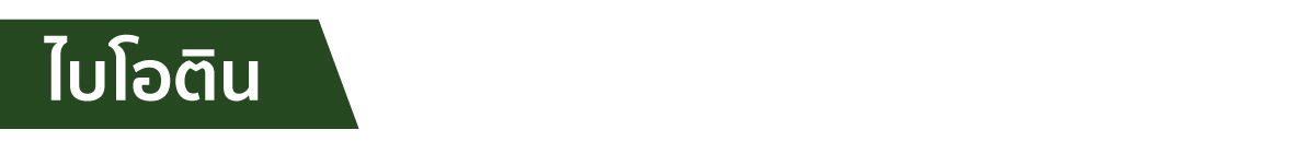 webp_image