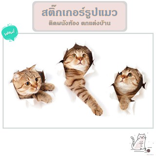 สติ๊กเกอร์รูปแมว ตกแต่งบ้าน สติ๊กเกอร์ตกแต่งห้อง สติกเกอร์ติดผนัง 3D สติ๊กเกอร์ตกแต่งผนัง 3D Cat Wall Sticker Home Decal