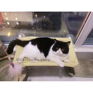 ภาพขนาดย่อของภาพหน้าปกสินค้า️เปลแมว ที่นอนแมว บ้านแมว เปลติดกระจก เปลแมวติดกระจก ️ จากร้าน ratimapeem บน Shopee ภาพที่ 4