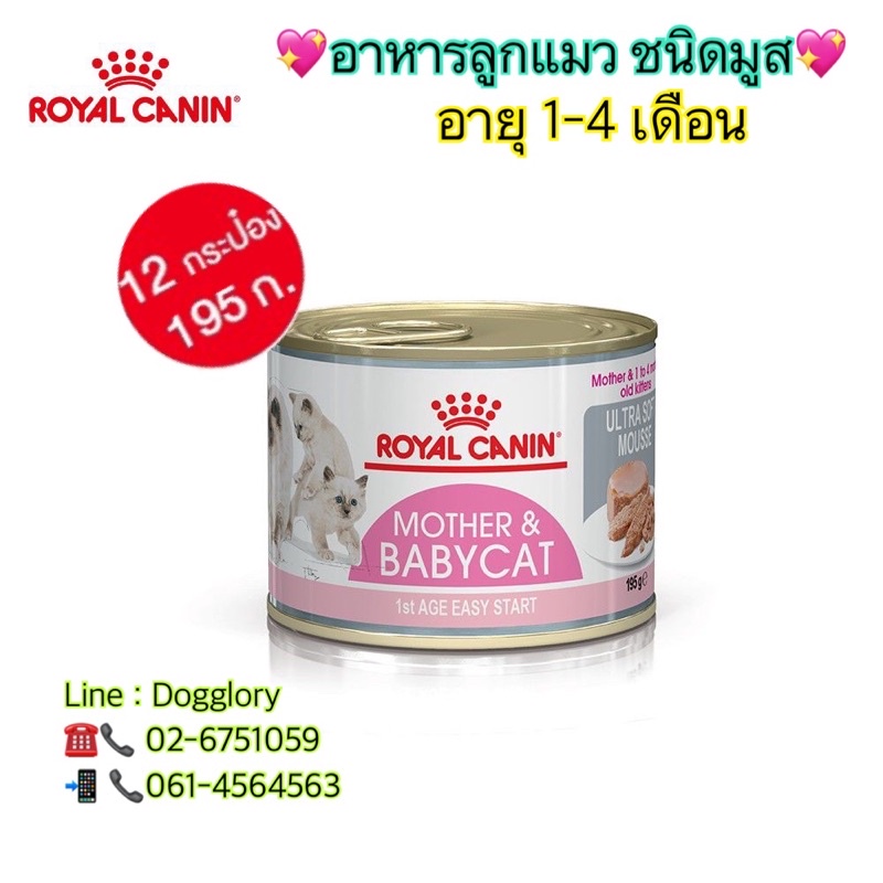 แพค-12-กระป๋อง-royal-canin-mother-baby-cat-can-tray-อาหาร-เปียก-ลูกแมว-อายุ-1-4-เดือน-มูส-195-กรัม