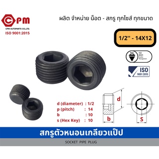 สกรูตัวหนอน เกลียวแป๊ป 1/2 - 14x12 [SOCKET PIPE PLUG]