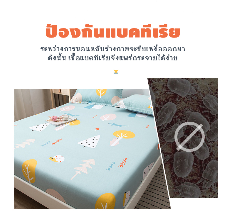 ผ้าปูที่นอนcotton-ปลอกหมอน-หมอนข้าง-ผ้าห่ม-ผ้านวม-ผ้าปูที่นอน-6ฟุต-5ฟุต-3-5ฟุต-เตียงสูงสุด12