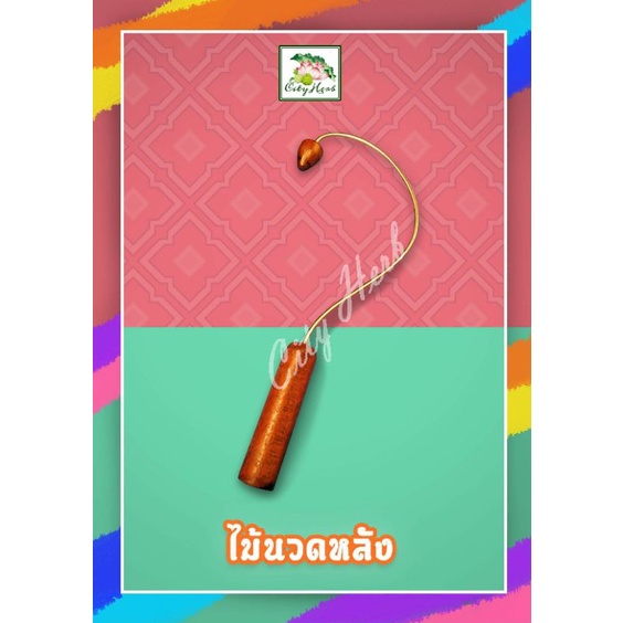 ไม้นวดหลัง-ซิตี้เฮิร์บ