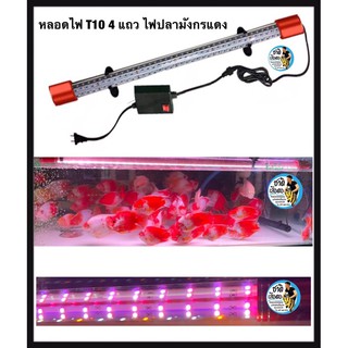 หลอดไฟสำหรับปลามังกรแดง T10 4แถว ขนาด 120cm. และ 150 cm. และ 180cm.