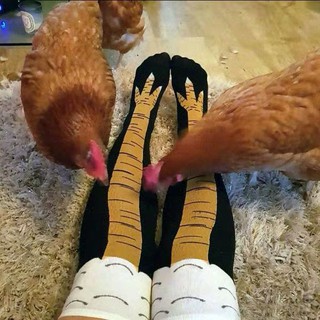 พร้อมส่ง✅ ถุงเท้าขาไก่ ถุงเท้าลายขาไก่ ถุงเท้า ถุงเท้าข้อกลาง ถุงเท้าตีนไก่ Chicken Leg