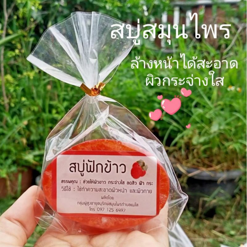 สบู่กลีเซอรีนสมุนไพรฟักข้าว-50g-ใช้ฟักข้าวออแกนิกแท้100