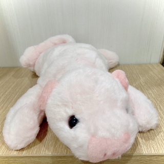 หมูน้อยตัวสีชมพูตัวนุ่มมมม  Cuteeee น้องเป็นท่านอนป้ายงาน TY