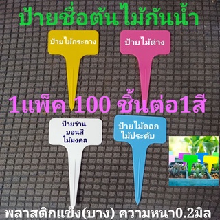 ป้ายชื่อต้นไม้100ชิ้น💥แบบปักในกระถาง💥100ชิ้นต่อ1สี สั่งมากมีส่วนลด