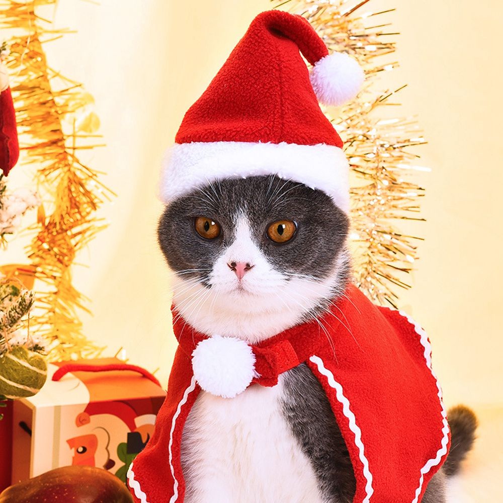 antione-funny-pet-cosplay-costume-xmas-pet-costume-pet-clothes-winter-pet-clothing-santa-claus-warm-cloak-hat-kitten-christmas-clothes