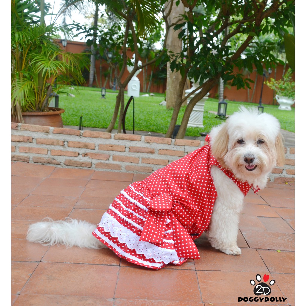 pet-cloths-doggydolly-เสื้อผ้าแฟชั่น-เสื้อผ้าสัตว์เลี้ยง-เสื้อผ้าหมาแมว-ชุดกระโปรง-d404