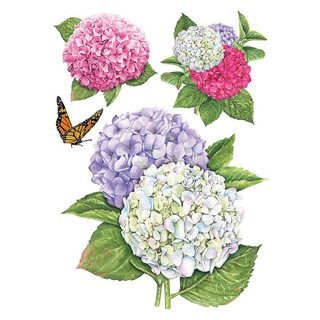 สติ๊กเกอร์ D.I.Y. HYDRANGEA 34X47CM คละสี  STYLE สติ๊กเกอร์ วอลเปเปอร์และสติ๊กเกอร์ เฟอร์นิเจอร์และของแต่งบ้าน STICKER D