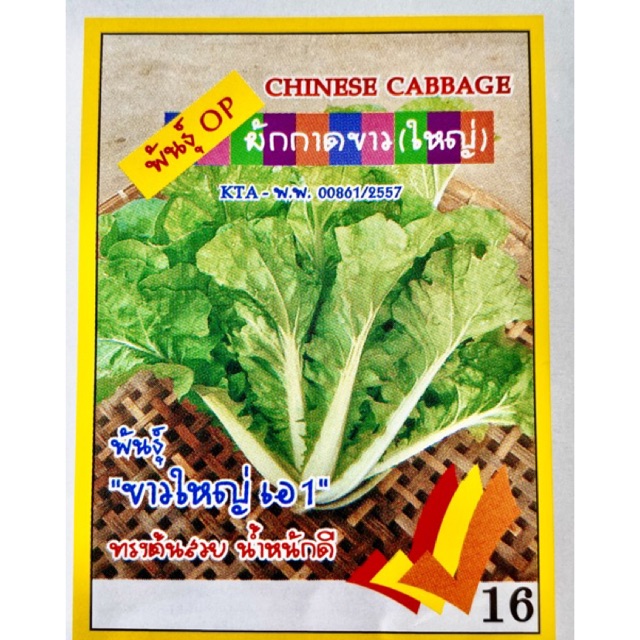 ผักกาดขาว-ขาวใหญ่-ประมาณ-1500-เมล็ด