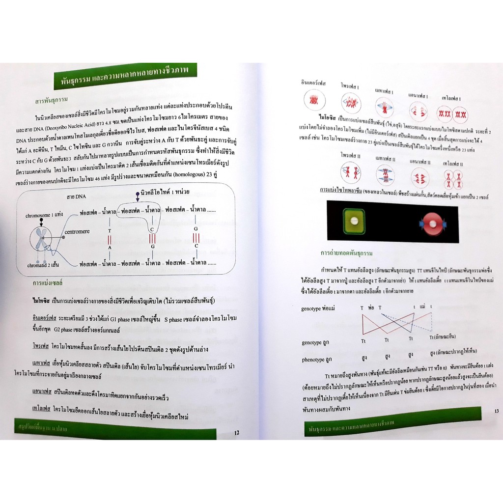 สรุปวิทย์พื้นฐานม-ปลาย-คู่มือเตรียมสอบม-4-5-6วิทยาศาสตร์-ศิลป์-แนวข้อสอบเข้ามหาวิทยาลัย-เคมี-ชีวะ-ฟิสิกส์-โลกดาราศาสตร์