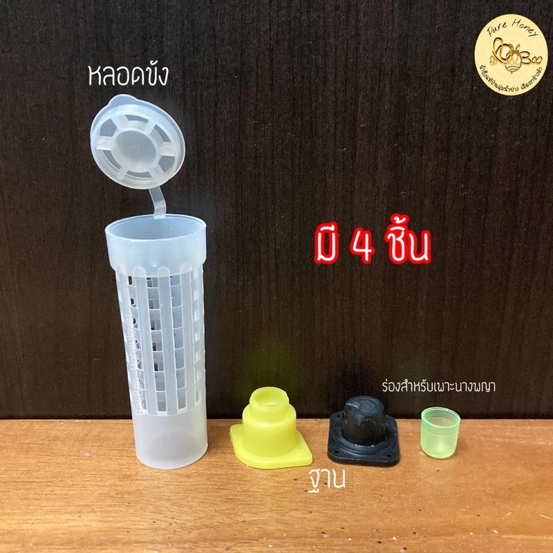 ส่งทันที-หลอดเลี้ยงนางพญา-เพาะนางพญา-นางพญา-เลี้ยงนางพญาผึ้ง-หลอดกักนางพญา-มีปลายทาง-จับผึ้ง-อุปกรณ์สำหรับเลี้ยงผึ้ง