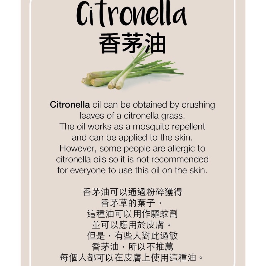 citronella-ก้านไม้หอมปรับอากาศ-บองซัวร์โฮม-กลิ่นตะไคร้หอม-ขนาด-55-ml-ไม่มีส่วนผสมของแอลกอฮอล์