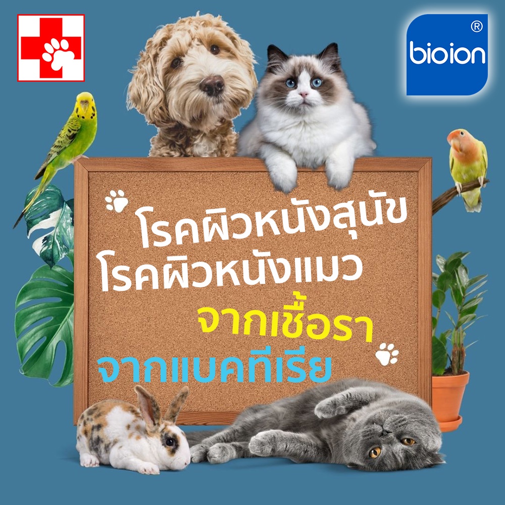 pets-wound-amp-skin-care-spray-60ml-ดูแลและบำรุงผิวหนังสัตว์เลี้ยง-บาดแผล-โรคผิวหนัง-แก้คัน-โรคขี้เรื้อน