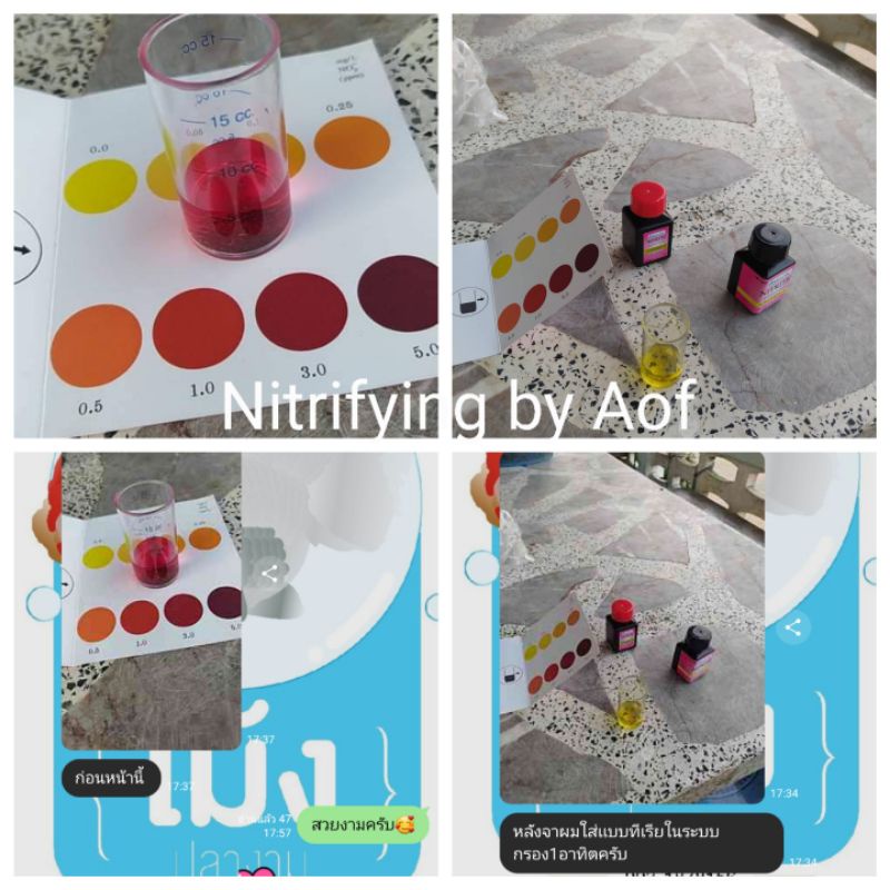 ภาพสินค้าNitrifyingbacteria แบคทีเรียบำบัดน้ำ จากร้าน nitrifyingproactive บน Shopee ภาพที่ 1