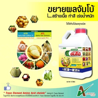 ขยายผลใหญ่ จัมโบ้ AAA เอเจนต้า เพิ่มน้ำหนัก เร่งสี ทรงสวย ขยายขนาดผล ผลใหญ่สม่ำเสมอ  (ขนาด 5 ลิตร)