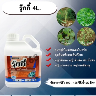 รุ๊กกี้ 4L.อะซีโทคลอร์ อะเซโทคลอร์ คุมหญ้า คุมวัชพืช คุมแห้ง สารกำจัดวัชพืช ใบแคบ ใบกว้าง หญ้าตีนติด หญ้าตีนกา