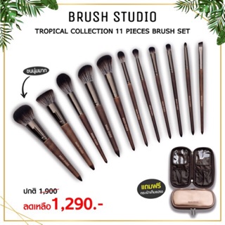 ภาพหน้าปกสินค้าBRUSH STUDIO Tropical Set : ชุดแปรงแต่งหน้า 11ชิ้น ที่เกี่ยวข้อง