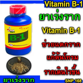 b1-น้ำยาเร่งราก-ขนาด-100-500cc-เร่งราก-เเคคตัส-กระบองเพชร-ต้นไม้ทุกชนิด