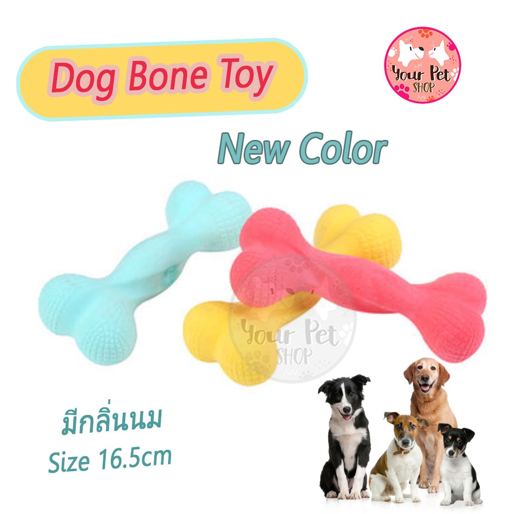 ภาพหน้าปกสินค้ากระดูกยางกัดกลิ่นนมสำหรับสุนัข ของเล่นสุนัข ของเล่นกัดฟัน กระดูกหมา Dog Bone Toy 15 cm จากร้าน your_pet_shop บน Shopee