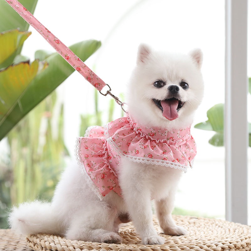 ภาพหน้าปกสินค้าสายรัดหน้าอกสัตว์เลี้ยงน่ารักเชือกลากดอกไม้ลูกไม้หน้าอกหลังสุนัขเดินเชือก