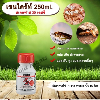 เชนไดร้ท์ 250ml. สเตดฟาส 30 เอสซี ไบเฟนทริน กำจัดปลวก มด แมลงสาบ หมัด เห็บ แมลงวัน ยุง allaboutplants