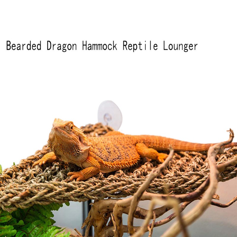 bearded-dragon-hammock-lizard-lounger-100-natural-seagrass-fibers-tath