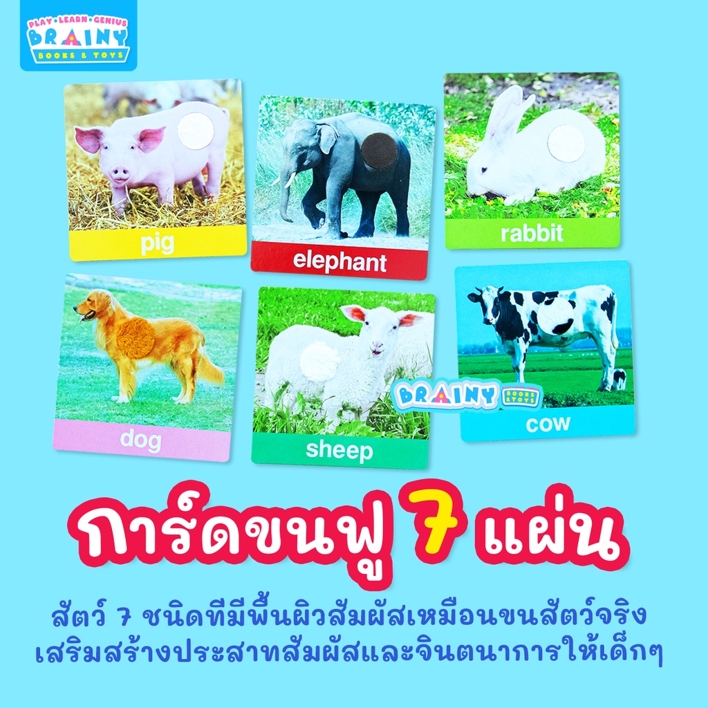 brainytoys-การ์ดเพื่อนสัตว์ขนฟูฟู