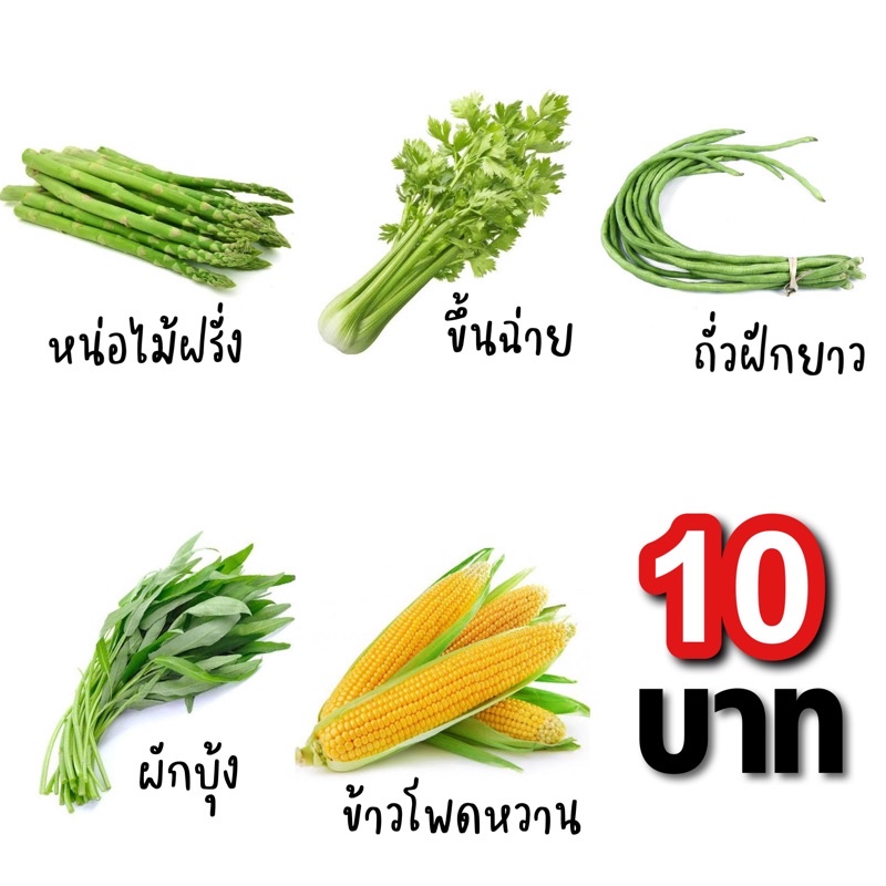 เมล็ดพันธุ์ผักสวนครัว-ซื้อ-10-ฟรี-1