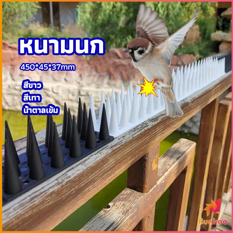 หนามนก-อุปกรณ์ไล่นก-น้ำยาไล่นก-หนามที่กั้นไม่ให้แมวเข้ามา-bird-thorn