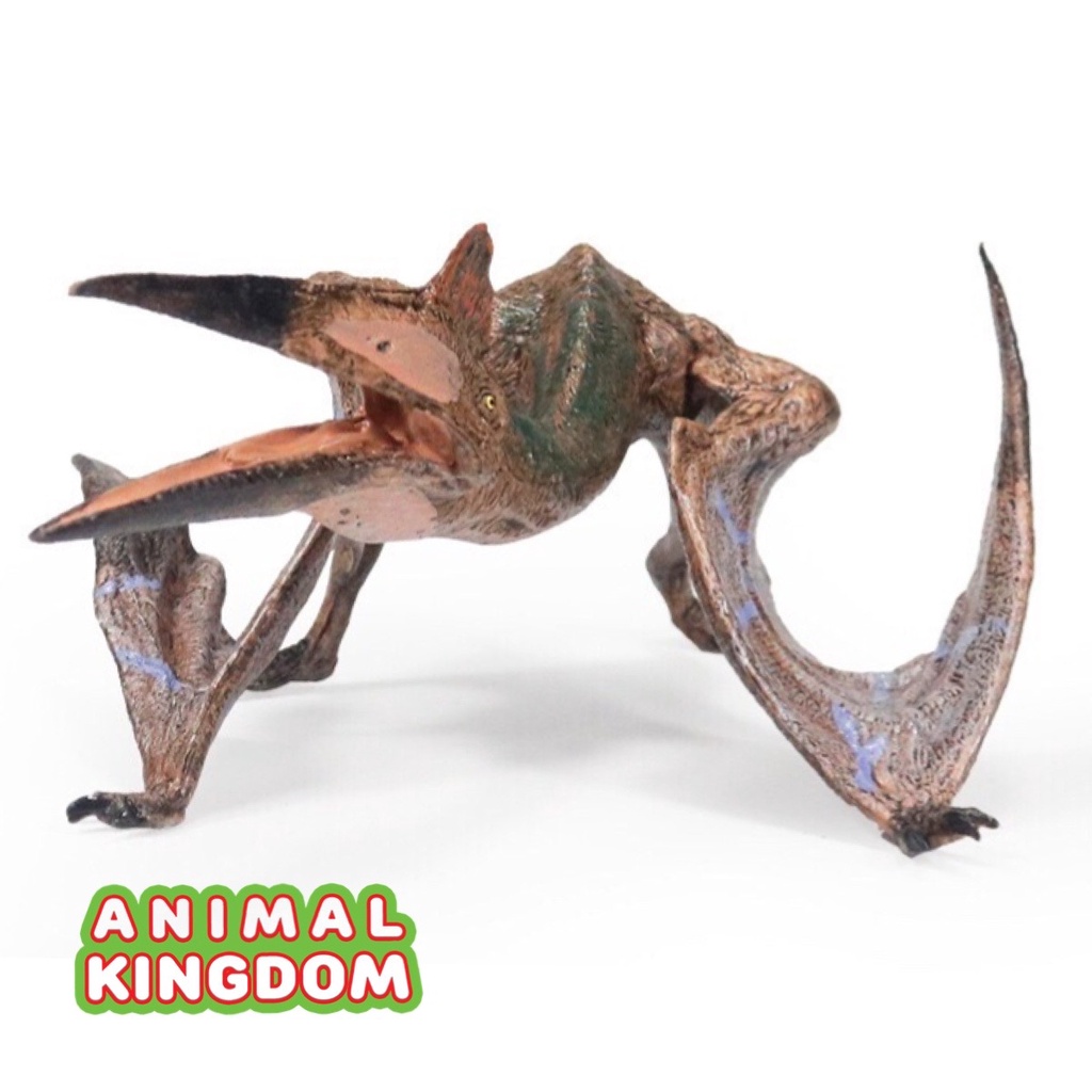 animal-kingdom-โมเดลไดโนเสาร์-hatzegopteryx-ขนาด-19-00-cm-จากหาดใหญ่