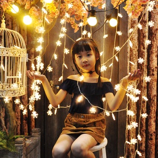 ⭐ไฟ LED,เกล็ดหิมะและดวงดาว,ไฟปีใหม่,ไฟแต่งห้อง,แต่งงาน,คริสต์มาส,เสียบเข้าไป,ไฟเปลี่ยนสี