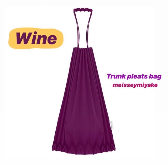 Trunk Pleats Bag 12 main image 0
